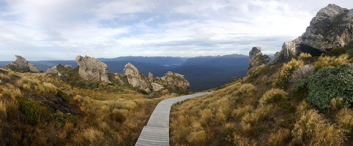 Hump Ridge tussock